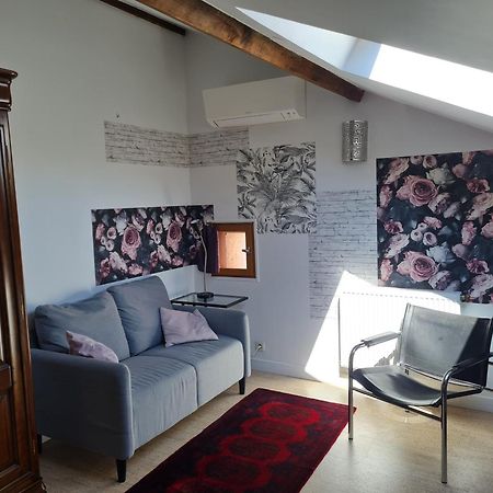 Espace Beleverte Bussiere 1 Tamaris Appartement Meuble De 2 Chambres Oullins Ngoại thất bức ảnh